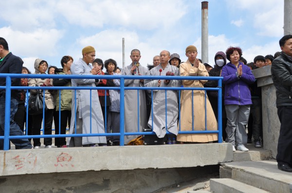 「放生功德」2014年5月4日山西广灵极乐寺放生活动在蔚县水库举行 「放生功德」2014年5月4日山西广灵极乐寺放生活动在蔚县水库举行