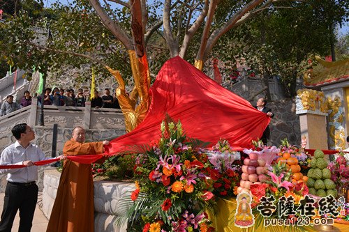 「佛教」广东深圳南山观音寺隆重举行寺院落成暨开光法会