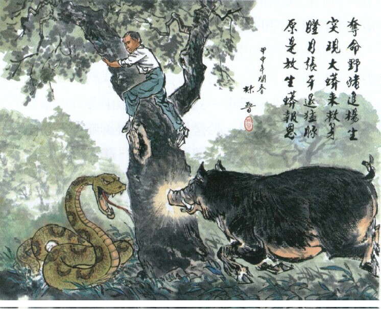 「佛教」野猪追杀,大蟒相救 「佛教」野猪追杀,大蟒相救