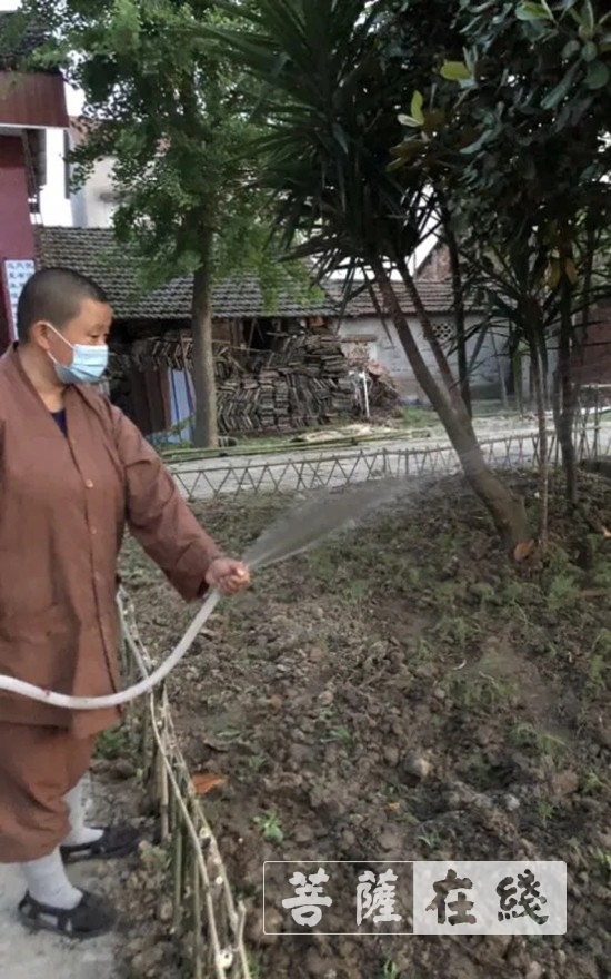 「佛教」抢抓农时,自力更生,湖北各寺掀起春耕生产热潮 「佛教」抢抓农时,自力更生,湖北各寺掀起春耕生产热潮