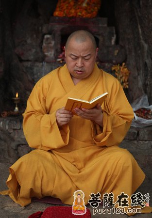 「释迦牟尼」印顺法师带领弘法寺义工、朝圣团在蓝毗尼花园举行诵经祈福法会