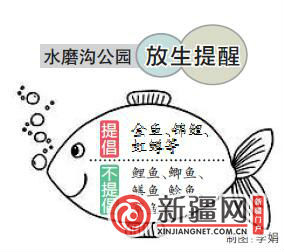 前脚无智慧放生后脚翻肚 水磨沟公园一天捞出死鱼500多条