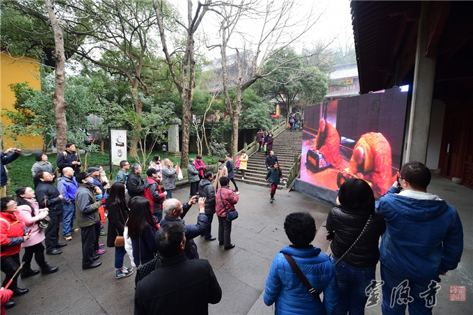 「释迦牟尼」佛陀成道纪念日 千人听经传供祈福