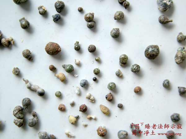 「昌臻法师」昌臻老法师示寂舍利照片 「昌臻法师」昌臻老法师示寂舍利照片
