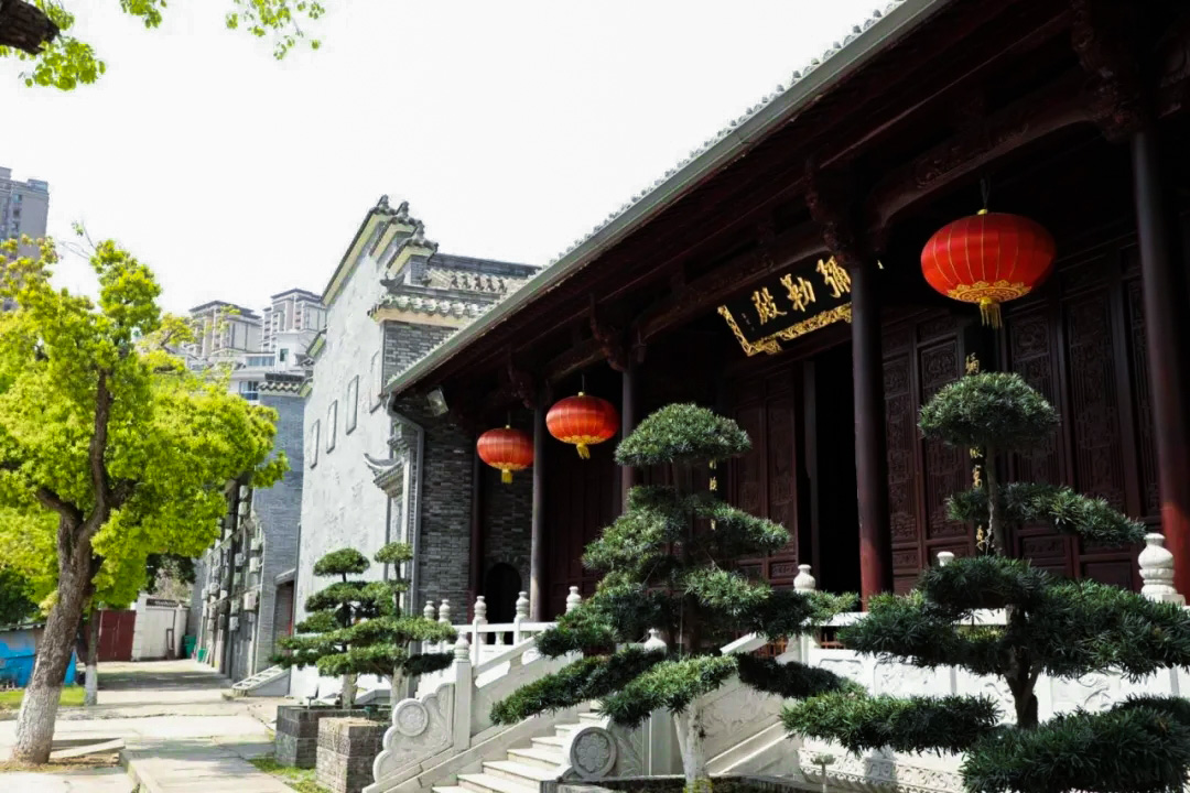 「城记」武昌佛学院法师的封城记“疫” 「城记」武昌佛学院法师的封城记“疫”