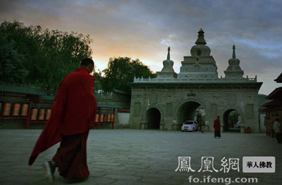 「灯笼」元宵节各地佛寺赏灯攻略 龙天护佑万灯祈福
