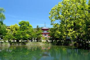 「大觉寺」（02.08）上海金山大觉寺将举行祈福延生普佛法会