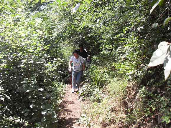 「终南山」终南山护僧随感