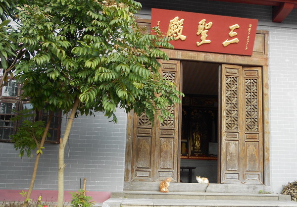 「南华寺」水月清梅：曹溪南华寺撷影