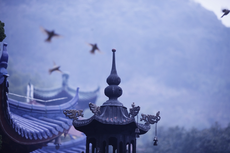 「慧日禅寺」“慧心勤觉悟，熙日耀中天”—慧日禅寺小年祭灶神慈悲无遮甘露施食超荐法会