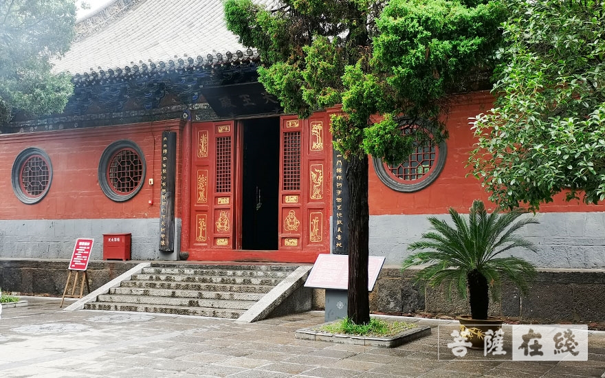 「防洪」人员安全！已无积水！直击河南重点寺院防汛恢复现场