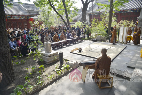 「佛教」2016年丁香茶会、第十五届丁香诗会在中国佛学院举行 「佛教」2016年丁香茶会、第十五届丁香诗会在中国佛学院举行