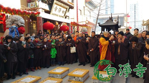 「佛教」河北廊坊白净寺举行放生暨顺星君祈福大法会