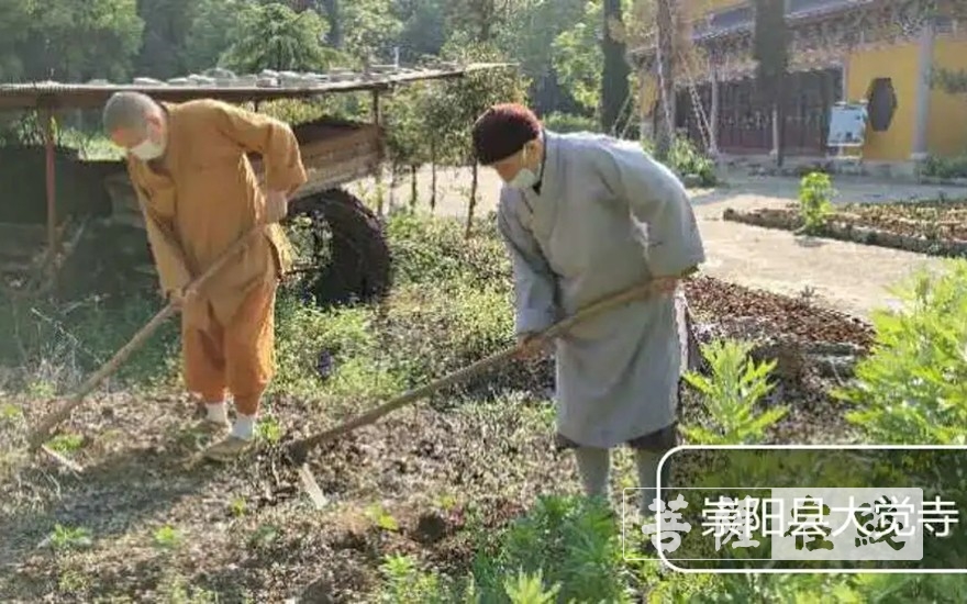 「佛教」抢抓农时,自力更生,湖北各寺掀起春耕生产热潮 「佛教」抢抓农时,自力更生,湖北各寺掀起春耕生产热潮