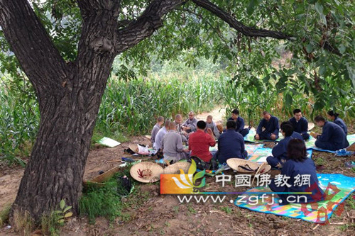 「五台山」河北邢台玉泉禅寺僧俗一行“行脚五台山”活动圆满