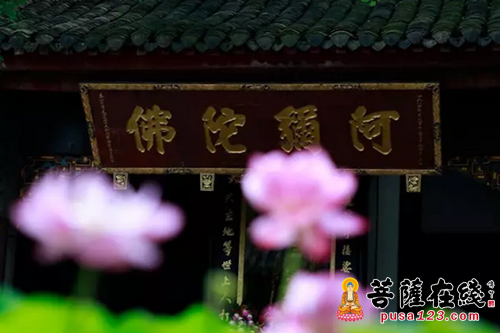 「佛教」如何拓展“生命的厚度” 宗性大和尚于北京开讲