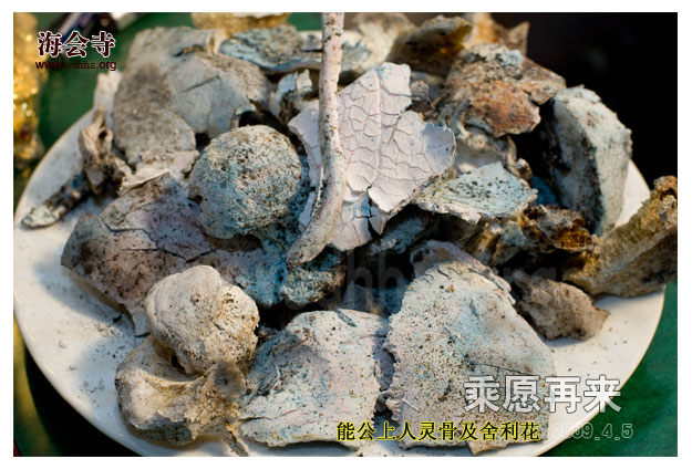 「佛教」能阐老和尚灵骨舍利及瑞相再现 「佛教」能阐老和尚灵骨舍利及瑞相再现