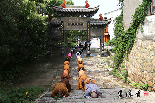 「普陀山」浙江灵隐寺方丈光泉大和尚率众三步一拜朝圣普陀山