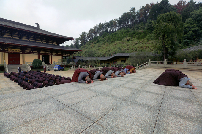 「佛教」天降甘露洗心垢 佛子虔敬礼弥陀
