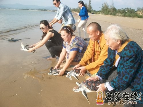 海南海口泰华庵隆重举行南海观音顶礼佛足祈福法会
