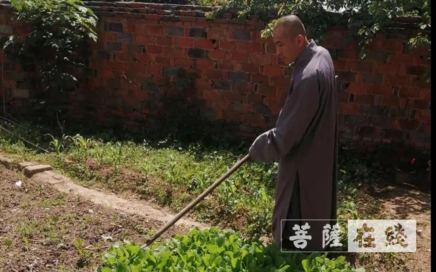 「佛教」抢抓农时,自力更生,湖北各寺掀起春耕生产热潮 「佛教」抢抓农时,自力更生,湖北各寺掀起春耕生产热潮