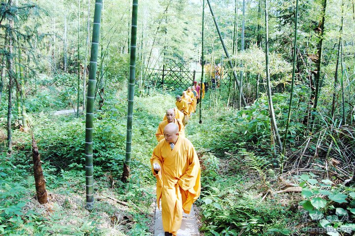 「东林寺」峨眉山佛协参访团拜谒东林祖庭 「东林寺」峨眉山佛协参访团拜谒东林祖庭