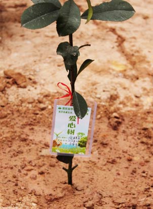「佛教」重庆市华岩文教基金于天心禅寺举行植树活动