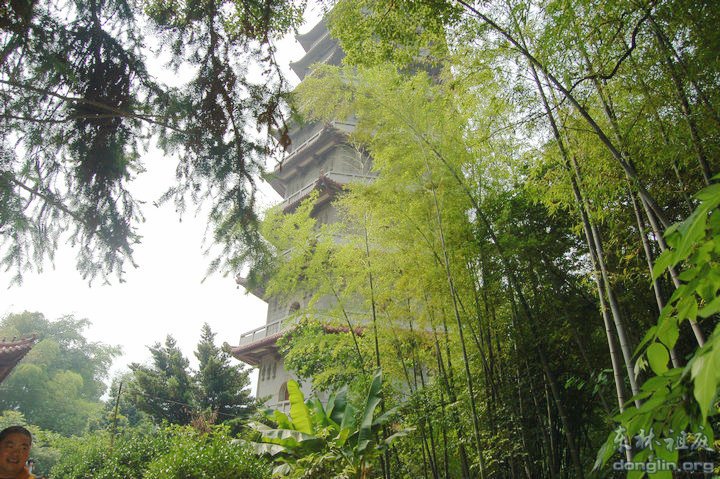 「佛教」峨眉山佛协参访团再访东林祖庭 「佛教」峨眉山佛协参访团再访东林祖庭