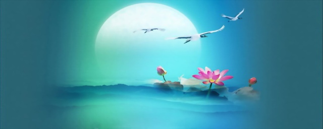 「佛教」就只是看 「佛教」就只是看