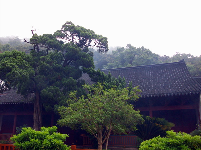「法雨寺」法雨寺和梵音洞撷影