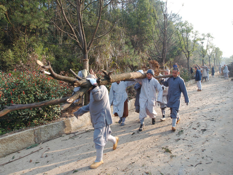 「佛教」江西九江东林寺僧众集体出坡劳作 合力兴丛林 「佛教」江西九江东林寺僧众集体出坡劳作 合力兴丛林