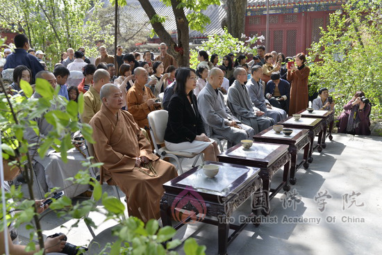 「佛教」2016年丁香茶会、第十五届丁香诗会在中国佛学院举行 「佛教」2016年丁香茶会、第十五届丁香诗会在中国佛学院举行