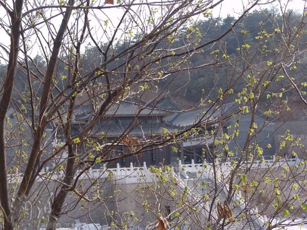 「大悲寺」图文回溯辽宁海城大悲寺之建设、发展历程