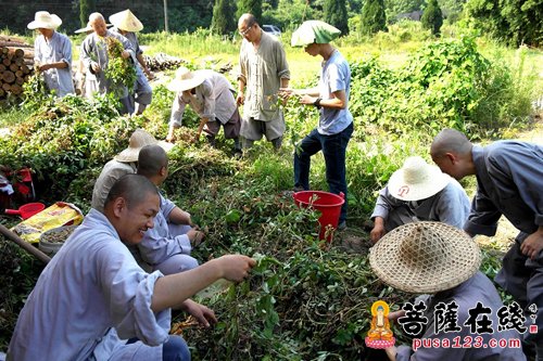 （10.1）青原山净居寺将举办第三届青原禅修营活动