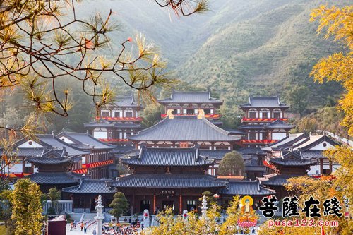 「佛教」温州佛学院2017年秋季招生简章