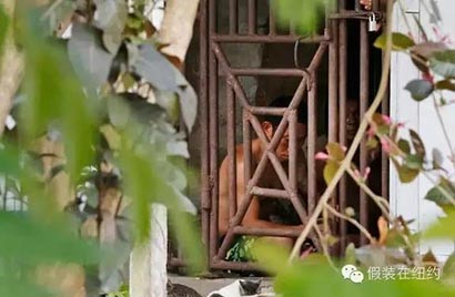 「普利策奖」2016普利策奖：你吃的每条鱼 都可能沾满他人血泪
