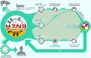 「弘法寺」以防H7N9 广东深圳弘法寺紧急呼吁善信暂停放生活动