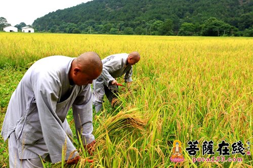 （10.1）青原山净居寺将举办第三届青原禅修营活动