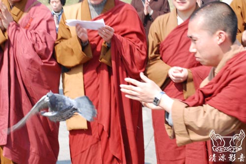 「放生功德」太姥山平興寺僧众於2011年3月29日上午9時，在福鼎市桐江溪舉行放生祈福活動。