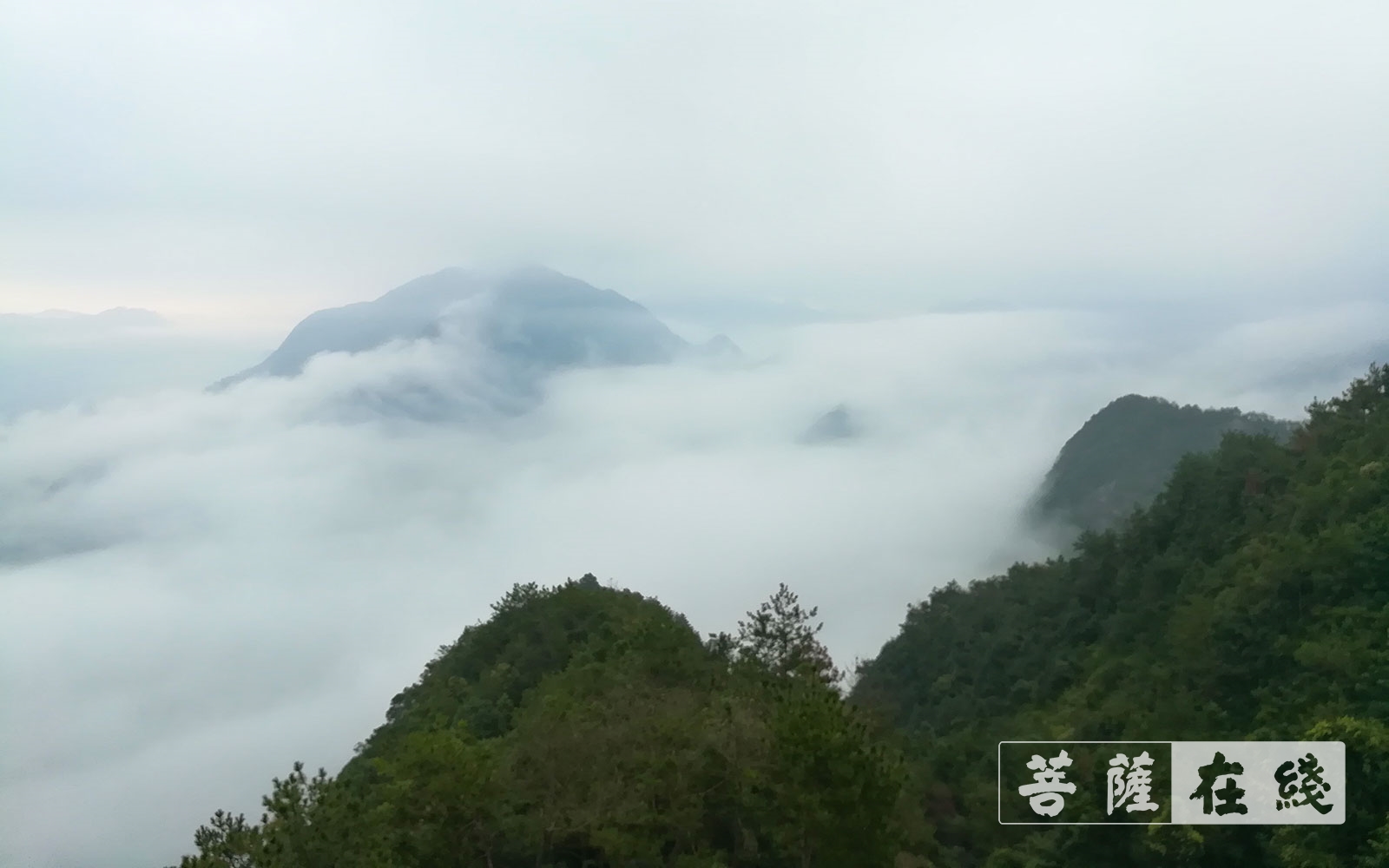 「温州」温州永嘉禅寺面向社会招募义工