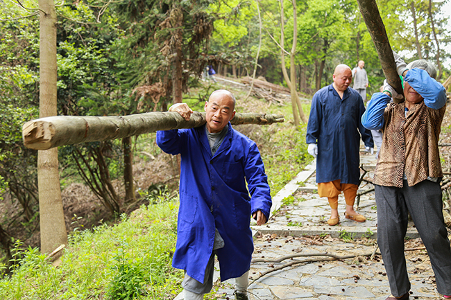 「东林寺」江西东林寺净土苑僧俗二众为祖庭斋堂出坡运柴