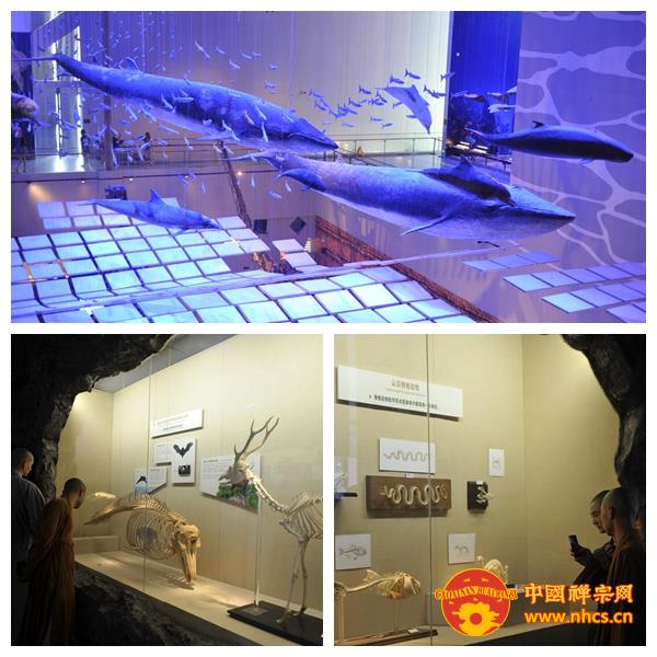「文化」南华禅寺曹溪佛学院学僧到广东阳江、广州等地参学