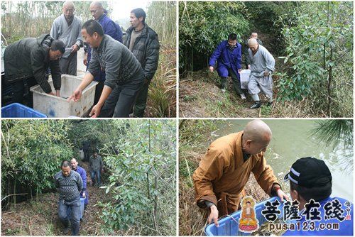 「东林寺」江西省庐山东林寺隆重举行放生大法会