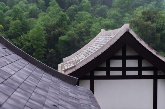 「禅宗」（9.4）湖南药山寺首届老营员禅修营