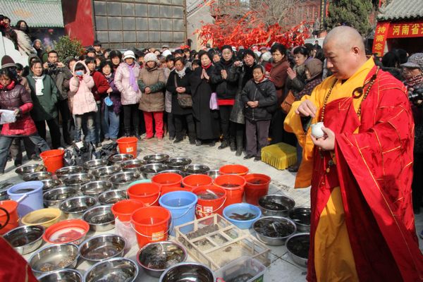 「佛教」河南省开封市古观音寺隆重举行“万人放生大会”