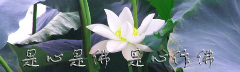 「文化」弘一大师救冤女 「文化」弘一大师救冤女