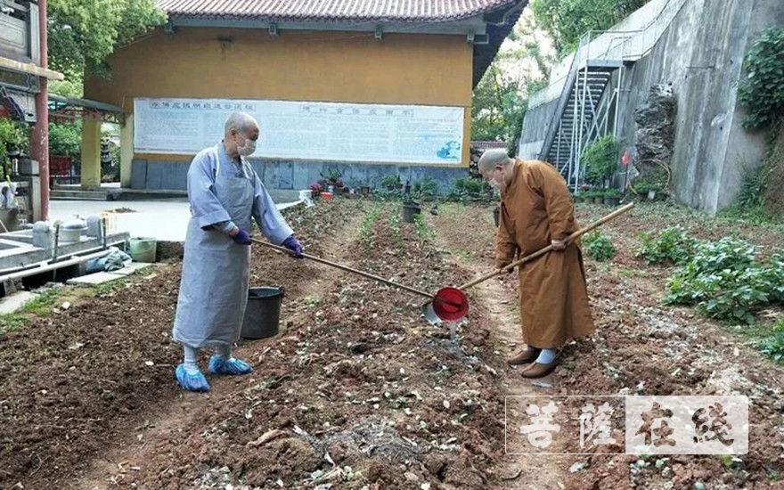 「佛教」抢抓农时,自力更生,湖北各寺掀起春耕生产热潮 「佛教」抢抓农时,自力更生,湖北各寺掀起春耕生产热潮