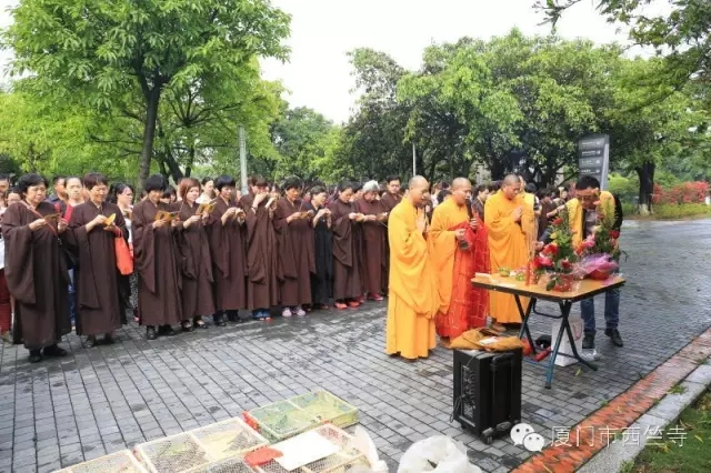 「佛教」福建厦门西竺寺丙申年首场放生法会圆满 「佛教」福建厦门西竺寺丙申年首场放生法会圆满