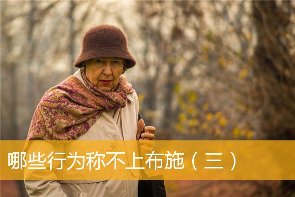 「佛学」哪些行为称不上布施（三）