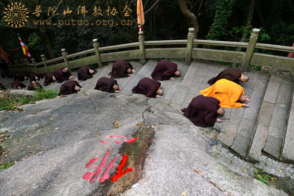 「普陀山」浙江普陀山观音文化节举行“僧尼礼佛顶、万信齐朝拜”法会 「普陀山」浙江普陀山观音文化节举行“僧尼礼佛顶、万信齐朝拜”法会